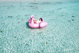 摆动的反义词有哪些？