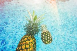 搬动的反义词有哪些？