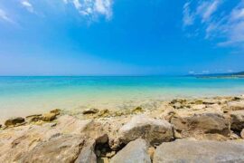 财产的反义词有哪些？