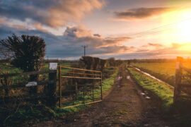 测绘的反义词有哪些？