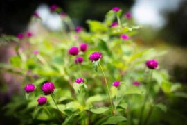 丰富的反义词有哪些？