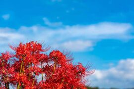 减免的反义词有哪些？