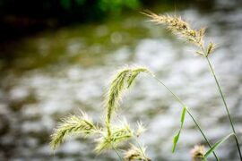 懈怠的反义词有哪些？