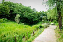 鲜肥的反义词有哪些？