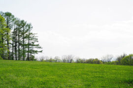 跳动的反义词有哪些？