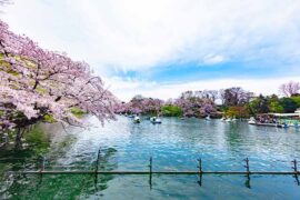 舒适的反义词有哪些？