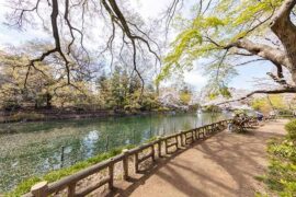 美甲的反义词有哪些？