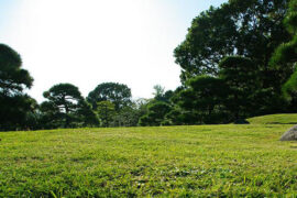 美观的反义词有哪些？