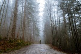 李衍《宫词》全文及鉴赏