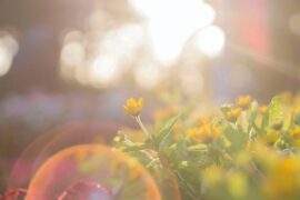 漂怎么组词？包含“漂”字的组词及成语大全