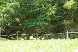 少年易老学难成，一寸光阴不可轻