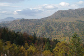 如果你认定苦是自己应得的，那么光必然会照耀到你身上