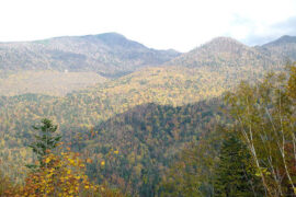 责人之心责己，恕己之心恕人