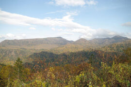 学术无界，文化无墙，永远不能画地为牢