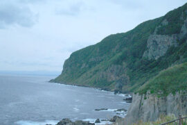 世态有炎凉，而我无嗔喜；世味有浓淡，而我无欣厌