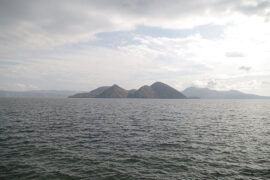 我一无所有，但我有语言