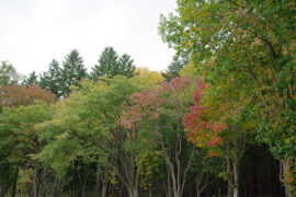 友谊永远是一个甜蜜的责任，从来不是一种机会