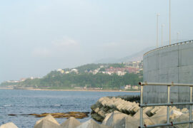 知识的敌人不是无知，而是已经掌握知识的幻觉