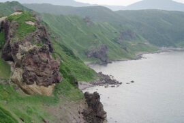 近水知鱼性，近山识鸟音