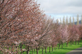 人类，犹如一支浮标，任何风浪也无法使它沉没