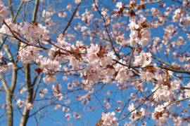 草草杯盘共笑语，昏昏灯火话平生