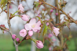 宿命论是那些缺乏意志力的弱者的借口