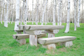 君子以见善则迁，有过则改