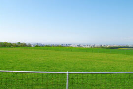 让风将我吹回所来之处，但求相随，腾空而行