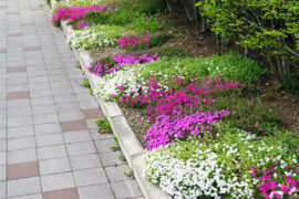 为人谦虚第一好，学问茫茫无尽期