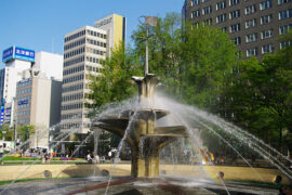 生命之河在它的一条岸边享有自由，在另一条岸边就会受到约束