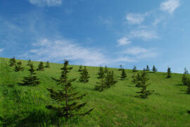 刘珉轩《一滴泪的时间》歌词评论及赏析