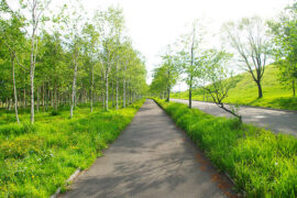 人间有味是清欢