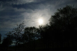 哪怕是这世界上的灰尘，太阳一出来，也是有歌有舞的