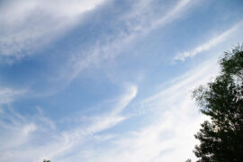 玩物丧志，其志小，志大者玩物养志