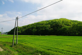 是七叔呢《踏山河》歌词评论及赏析