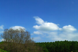 当我沉默着的时候，我觉得充实；我将开口，同时感到空虚