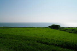 王赫野《大风吹》歌词评论及赏析