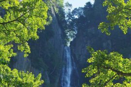 郭顶《水星记》歌词评论及赏析