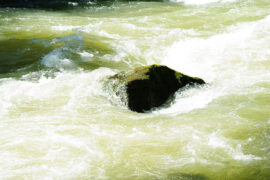 太阳虽好，总要诸君亲自去晒，旁人却替你晒不来