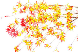 决定一个人的一生，以及整个命运的，只是一瞬之间