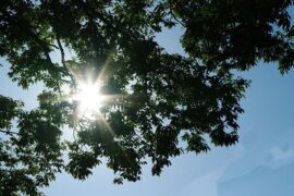 并且的近义词有哪些？