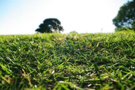 包容的近义词有哪些？