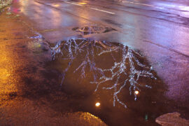 美化的近义词有哪些？