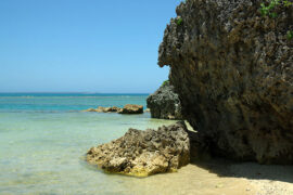 吸收的近义词有哪些？