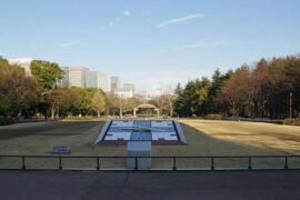 朴实的近义词有哪些？