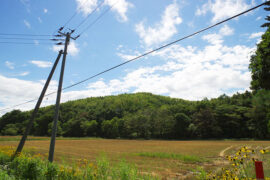 噩耗的近义词有哪些？