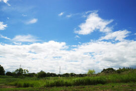 美观的近义词有哪些？