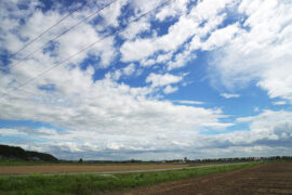 其实的近义词有哪些？