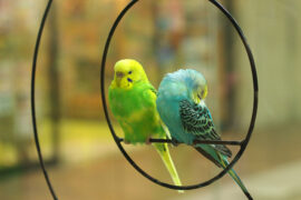 因过竹院逢僧话，偷得浮生半日闲