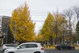 懈怠的近义词有哪些？